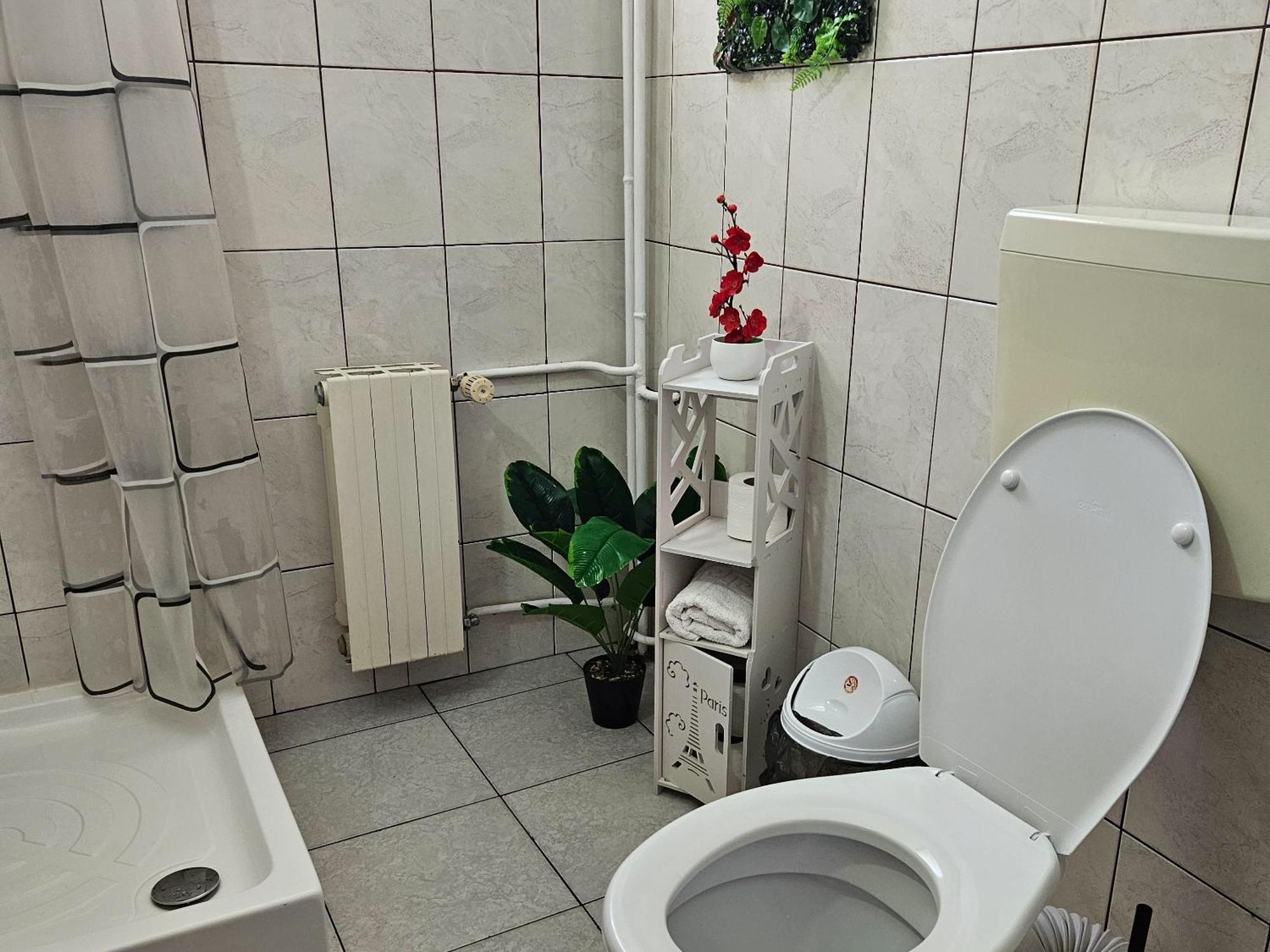 Apartment Zarnesti City Centre Vmp Free Parking Habitación foto